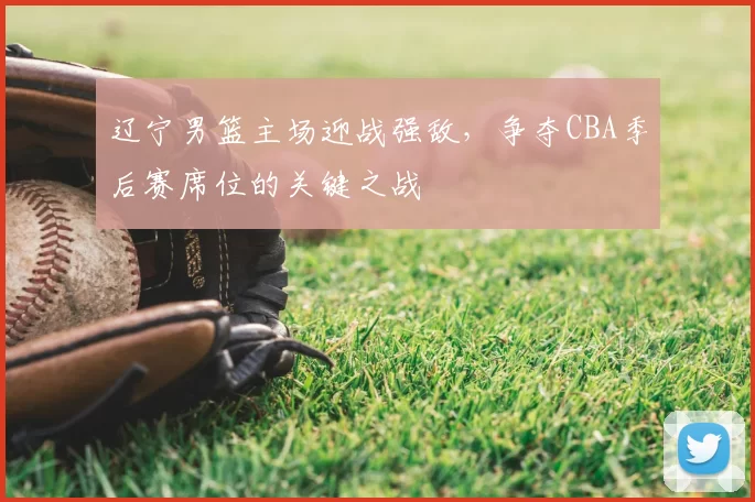 辽宁男篮主场迎战强敌，争夺CBA季后赛席位的关键之战
