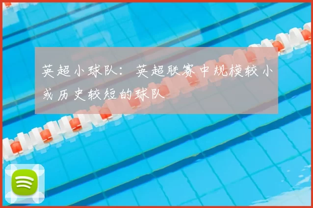 英超小球队:英超联赛中规模较小或历史较短的球队