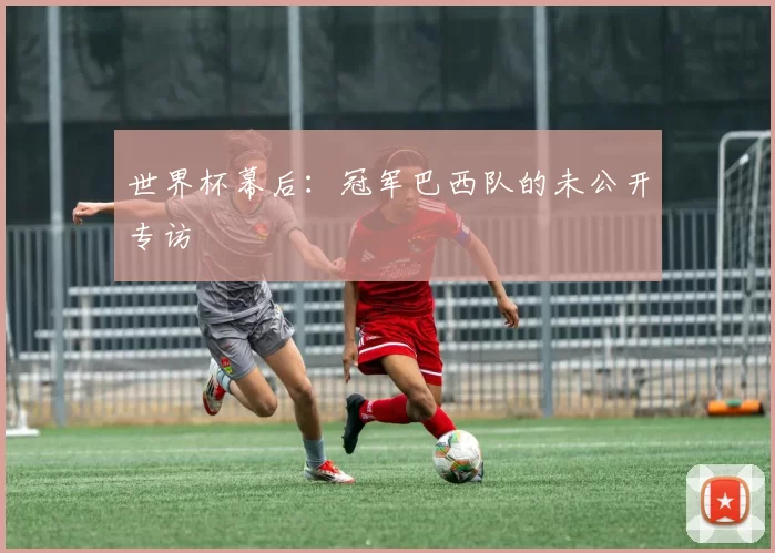 世界杯幕后：冠军巴西队的未公开专访