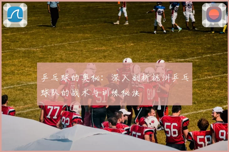 乒乓球的奥秘：深入剖析杭州乒乓球队的战术与训练秘诀