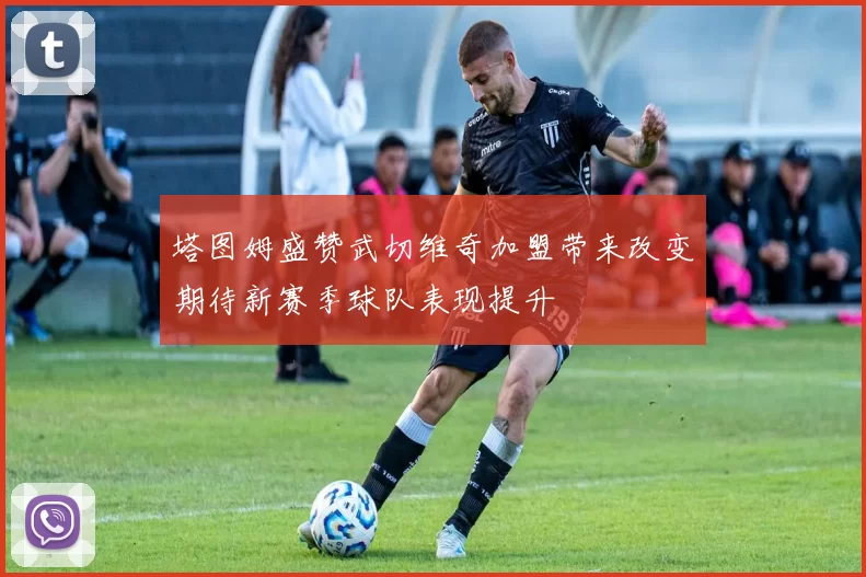 塔图姆盛赞武切维奇加盟带来改变期待新赛季球队表现提升