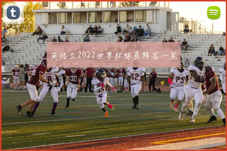 英格兰2022世界杯球员阵容一览