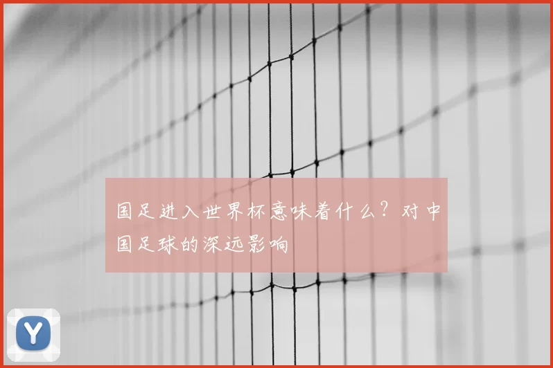 国足进入世界杯意味着什么?对中国足球的深远影响