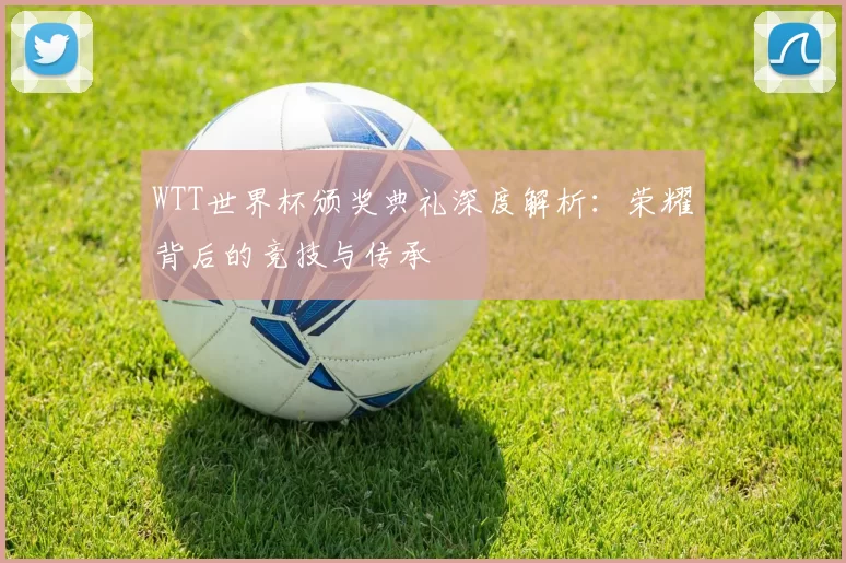 WTT世界杯颁奖典礼深度解析：荣耀背后的竞技与传承