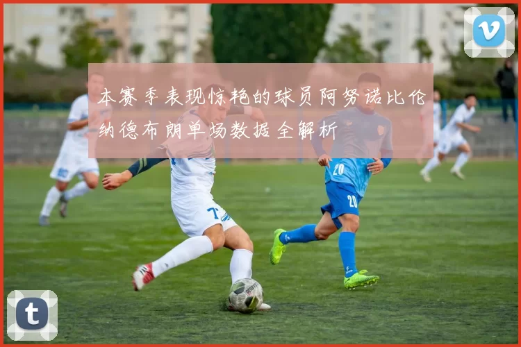 本赛季表现惊艳的球员阿努诺比伦纳德布朗单场数据全解析