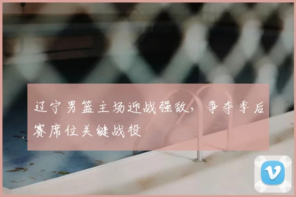 辽宁男篮主场迎战强敌，争夺季后赛席位关键战役