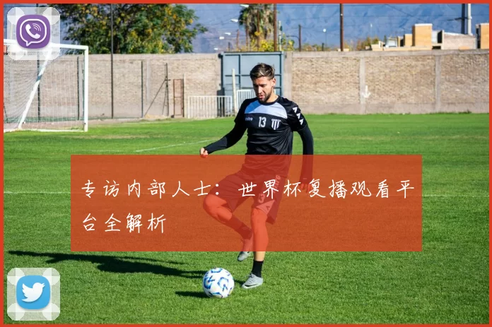 专访内部人士：世界杯复播观看平台全解析