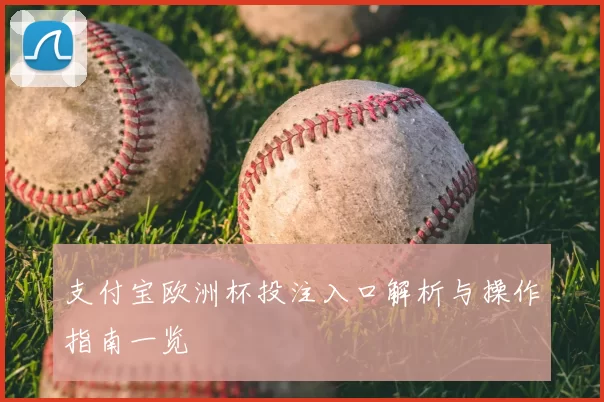 支付宝欧洲杯投注入口解析与操作指南一览