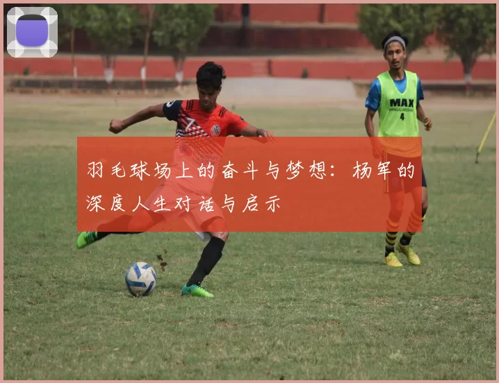 羽毛球场上的奋斗与梦想：杨军的深度人生对话与启示