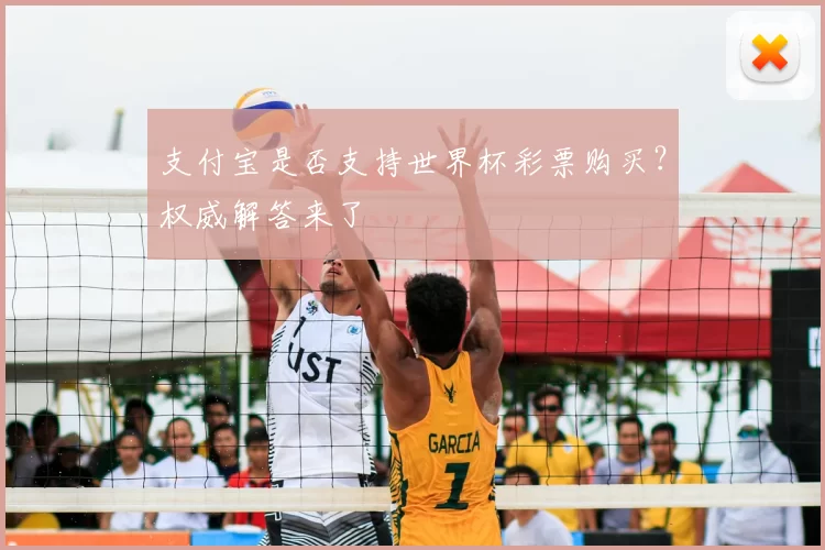 支付宝是否支持世界杯彩票购买？权威解答来了