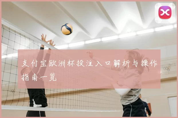 支付宝欧洲杯投注入口解析与操作指南一览