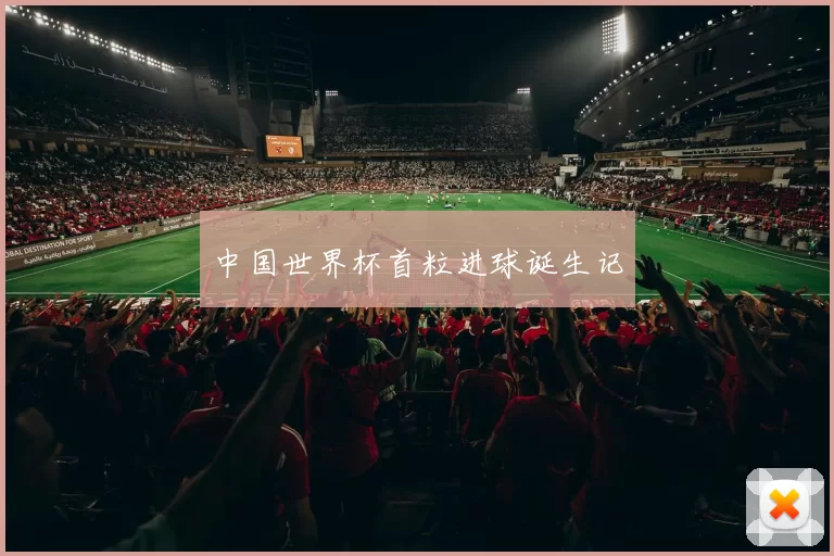 中国世界杯首粒进球诞生记
