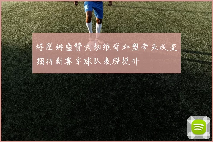 塔图姆盛赞武切维奇加盟带来改变期待新赛季球队表现提升
