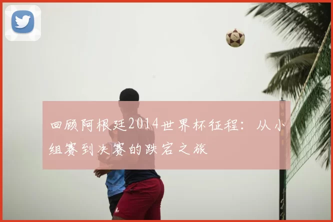 回顾阿根廷2014世界杯征程：从小组赛到决赛的跌宕之旅